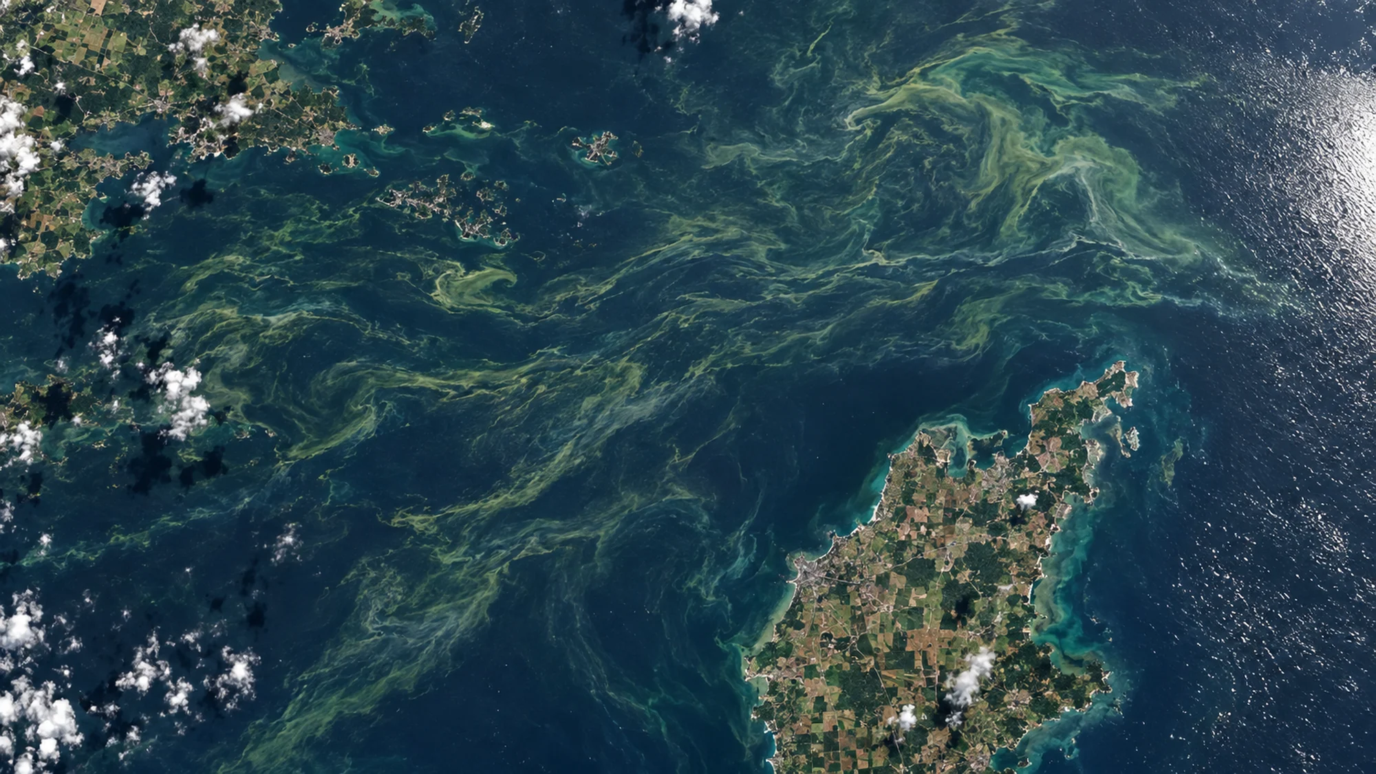 Illustrative orbital imagery — algal bloom in the Baltic Sea